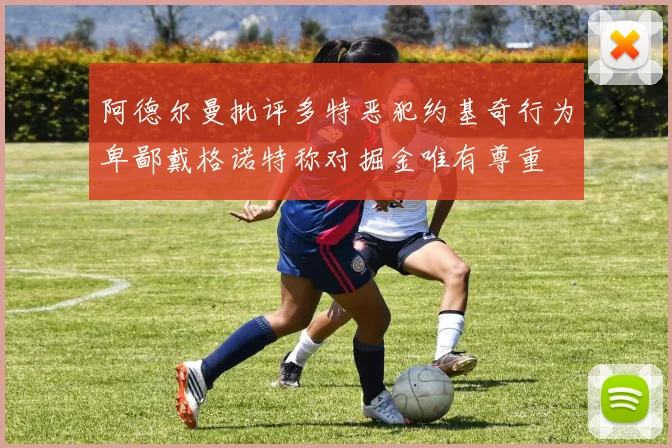 阿德尔曼批评多特恶犯约基奇行为卑鄙戴格诺特称对掘金唯有尊重